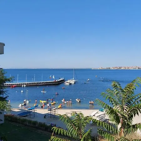 акротирия фешева